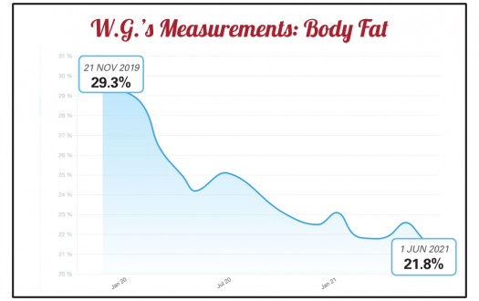 A Seriously Strong Training client's body fat percentage progress chart from a Seriously Strong Training success story