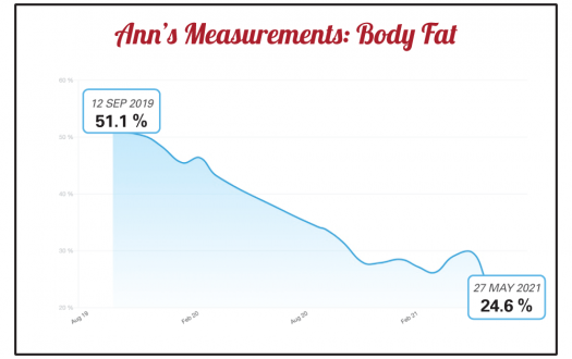 Ann's body fat percentage progress chart from a Seriously Strong Training success story