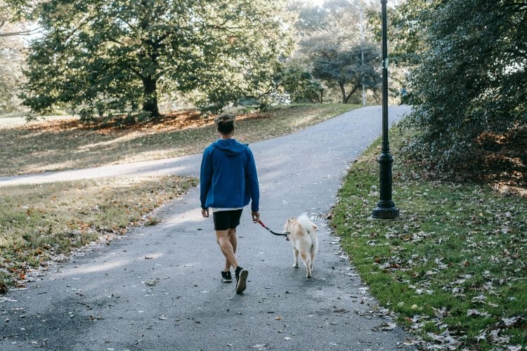 Exploring parks in Seminole Heights